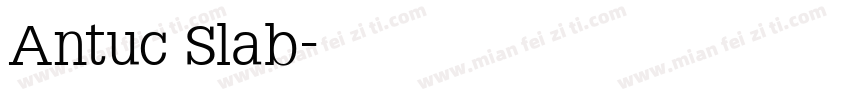 Antuc Slab字体转换